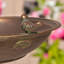 Bain d'oiseaux sur piédestal en métal Mattison-1137141327