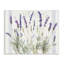 Lavande, grappe florale de style bistro à rayures XXL encadrée, estampe numérique par Danhui Nai-105256126-105256123
