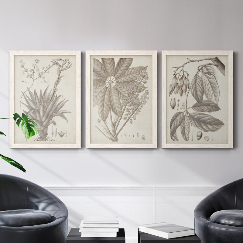 «Sepia Exotic Plants IV», ensemble de 3 peintures sur toile encadrées, Blanc, H 37,5 po x l 82,5 po x P 1,5 po