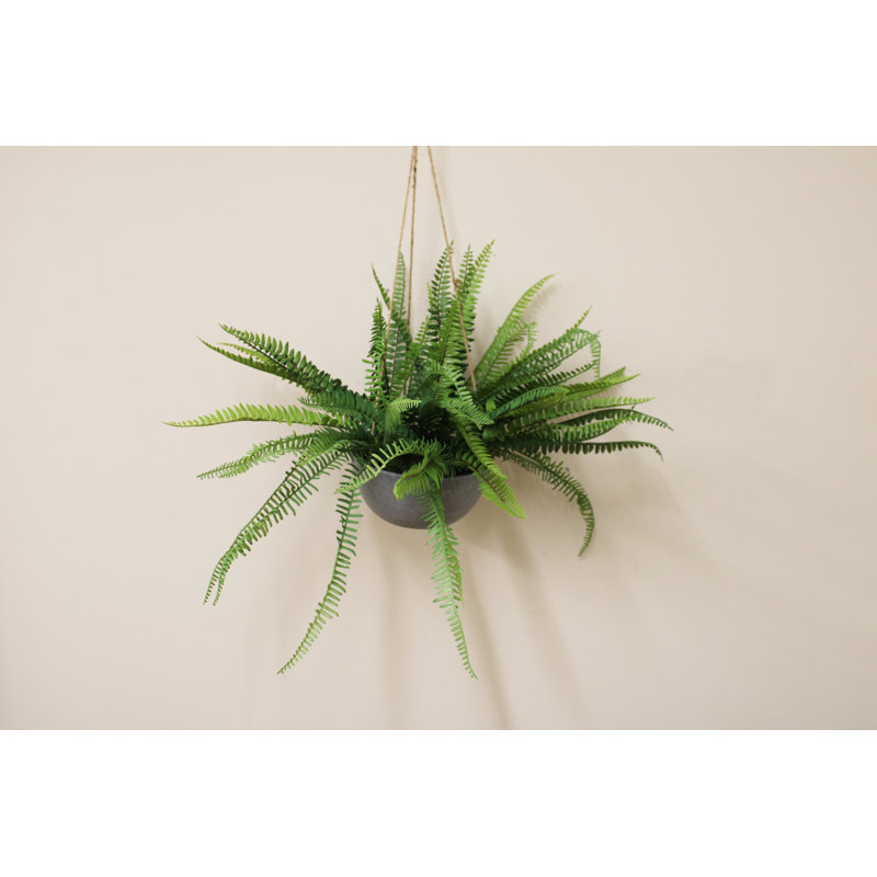 40cm Fern Plant