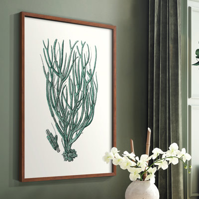 Antique Antique Coastal Coral, reproduction d'art encadrée