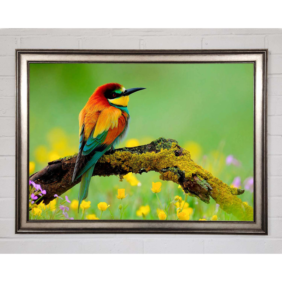 Novara Kingfisher Wild Flowers Gerahmter Druck Wandkunst