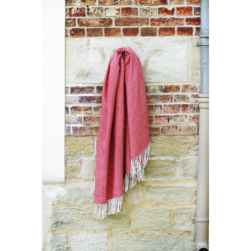 Banach Blanket, Ginger