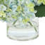 Hydrangeas Arranged in a Glass Vase