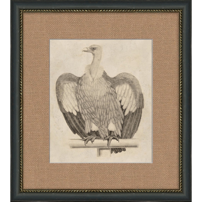 Antique Eagle Painting