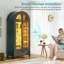 Display Cabinet-589741601