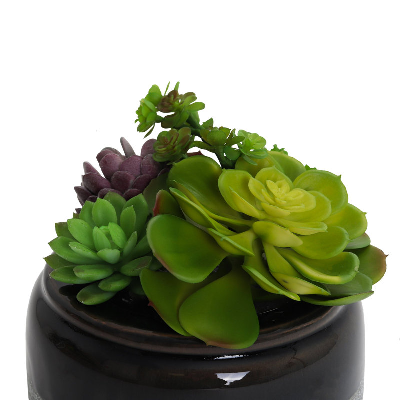 Plante grasse artificielle 7 po en pot