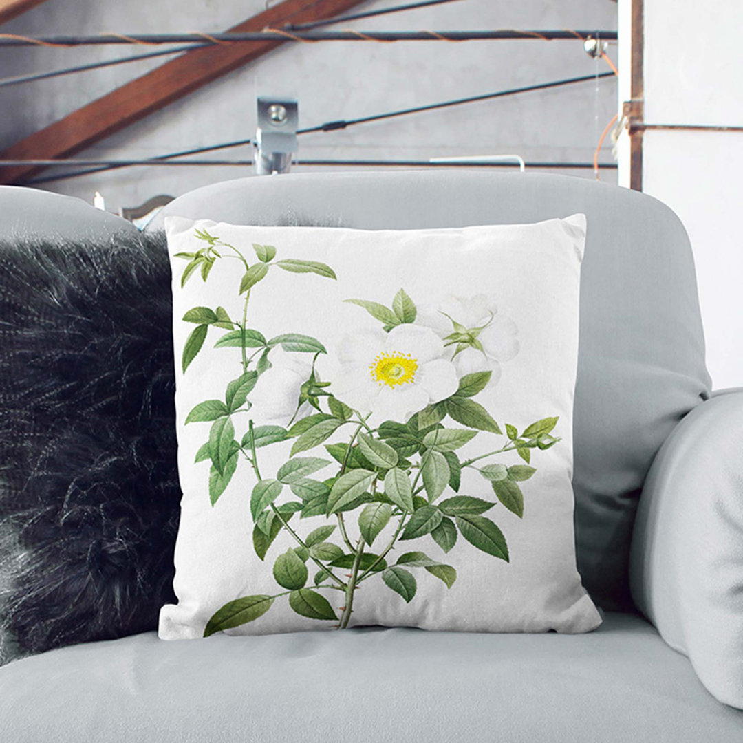 Cherokee Rose by Pierre-Joseph Redoute Cushion with Filling
