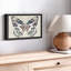 Reproduction sur toile «Butterfly's Kiss I»-101456896