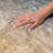 Premium Machine Washable Dream Shag ADS569 Ombre Rug-116192637-116192631