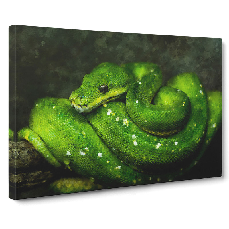 Green Python Snake - Wrapped Canvas Print, 35cm H x 50cm W x 3cm D