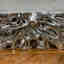 Customer photo 6 of 8
