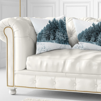 Coussin Schafer