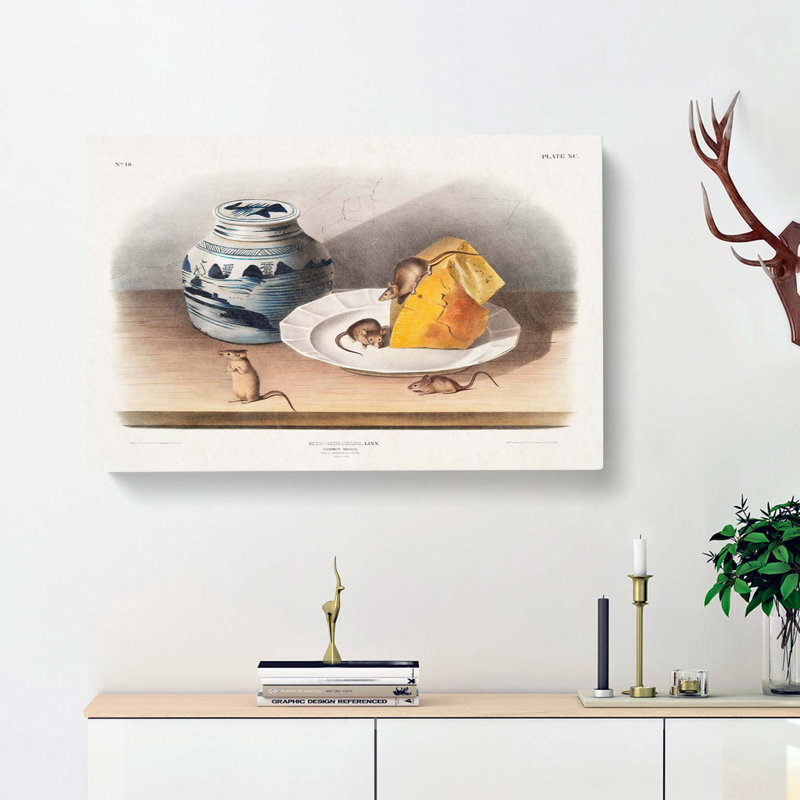Mice by J.W. Audubon - Wrapped Canvas, 40cm H x 60cm W x 3cm D