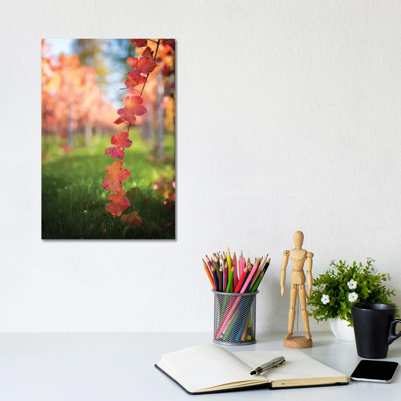Red Vine Leaves by Philippe Sainte-Laudy - Wrapped Canvas Print, 20.32 cm H x 30.48 cm W