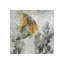 Coral Reef III Graphic Art by Sofia Fox-26934206-26934209