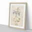 Lilac Phlox Flowers by Pierre-Joseph Redoute - Picture Frame Painting Print-55582626-55582628