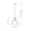 Barnsdale 1 - Light Iron Rust Geometric Pendant