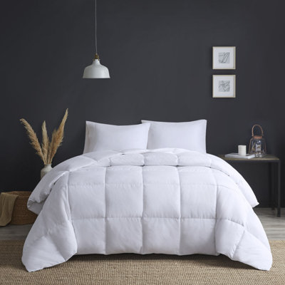 Sleep Philosophy Heavy Warmth White Goose Feather and Down Oversize Full/Queen Comforter