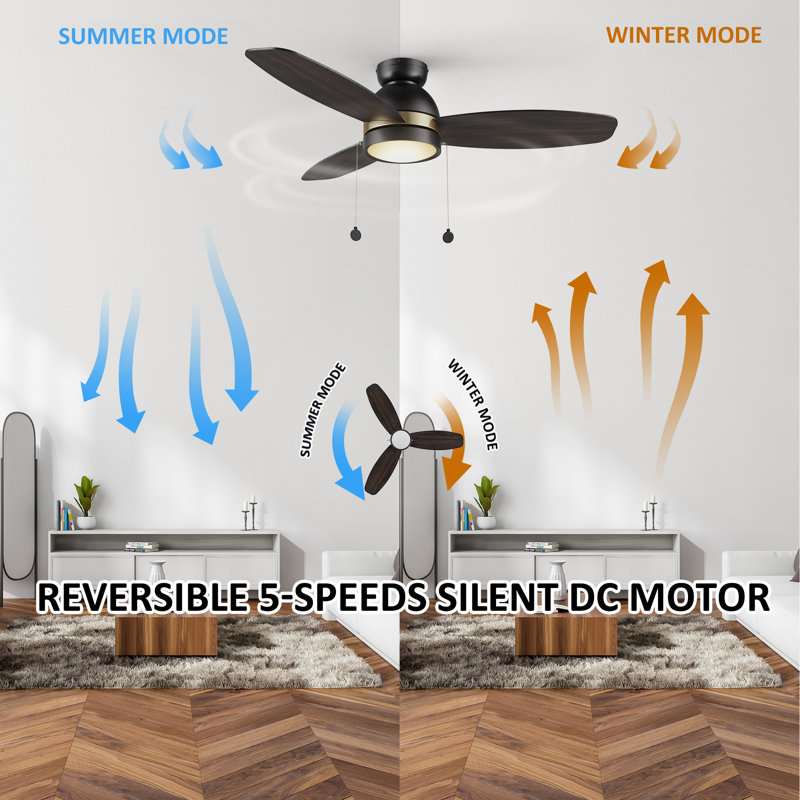 Ceiling Fan with LED Lights