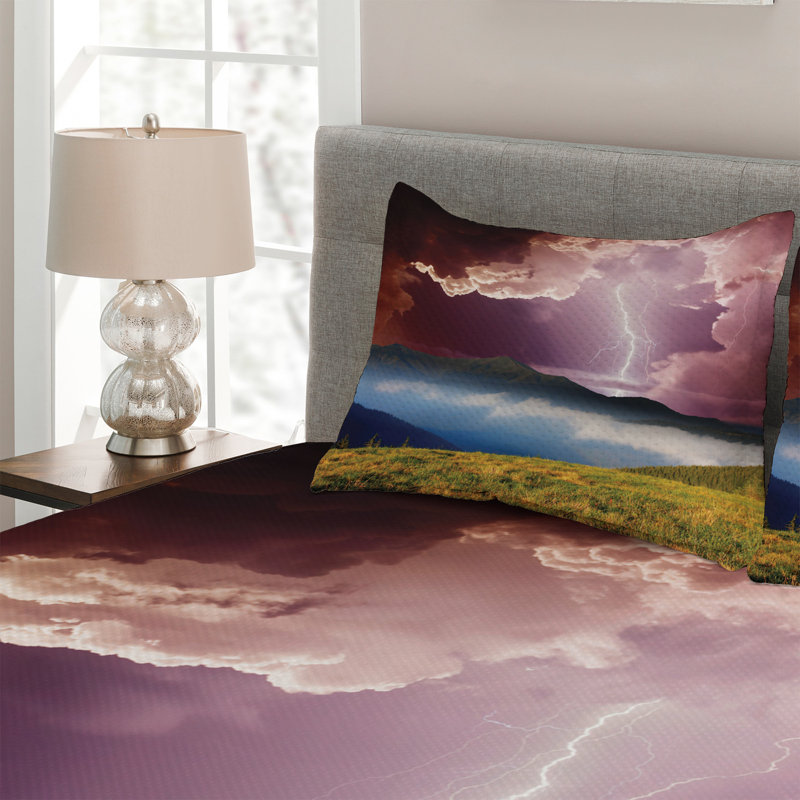 Modern & Contemporary Polyester Coverlet