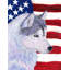 2 côtés en polyester de 2 côtés american drapeau de jardin-1288238408