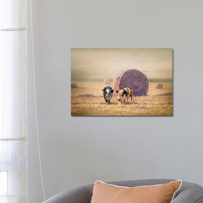 Piglets in Moring Fog 1 Piece Wrapped Canvas Wall Art