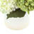 Assorted Hydrangea and Stephanotis Arrangement