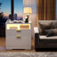 73cm Wide 2 -Drawer File Cabinet-1574268972