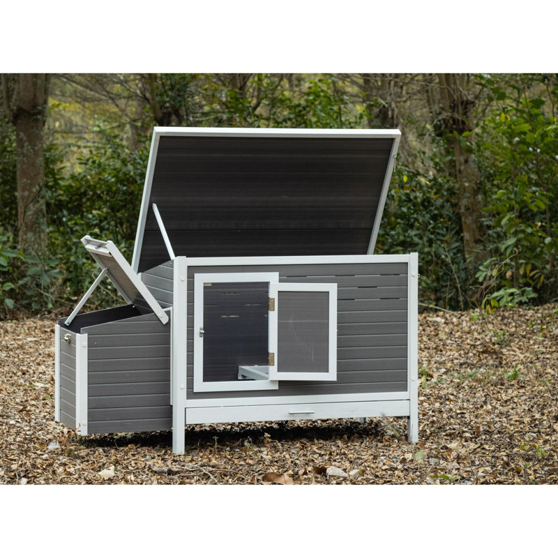 Poulailler ECOFLEX Engelien Premier