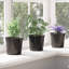 Nursery Pot-1842719474-1842719485