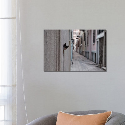 Dantel Street Cat by Ali Ayer - Wrapped Canvas Print