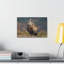 Art mural majestueux vautour-556947546