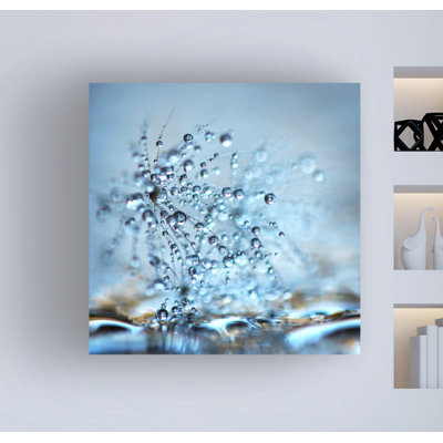 «Little Planets» par Beata Czyzowska, impression sur toile tendue