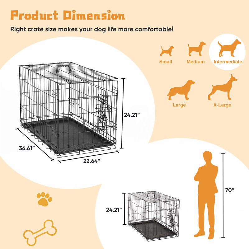 Cage pour chien avec panneau de séparation, cage pour chien pliante en métal à double porte de 36 pouces avec plateau en plastique résistant aux fuites, chenil pour l'intérieur