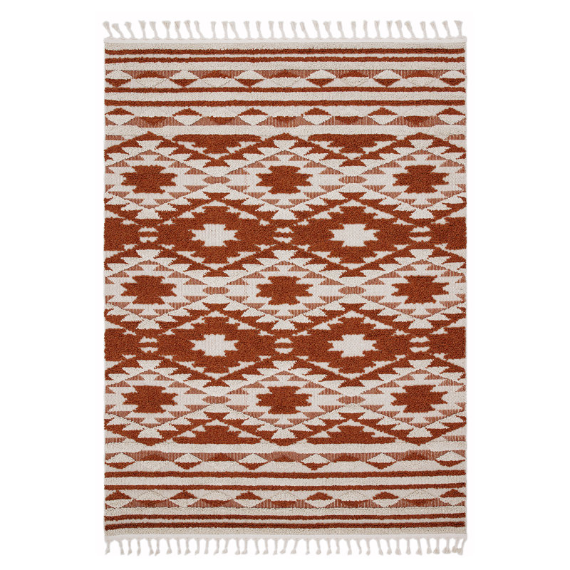 Alisia Southwestern Area Rug, Rectangle 120 x 170cm
