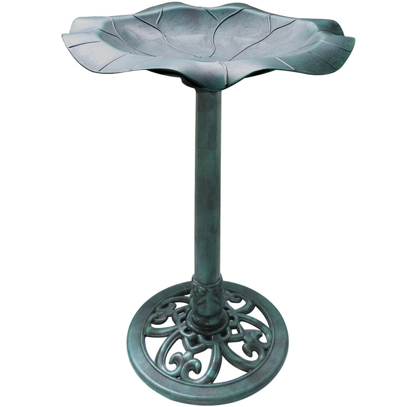 Bain d’oiseaux aideen, Turquoise