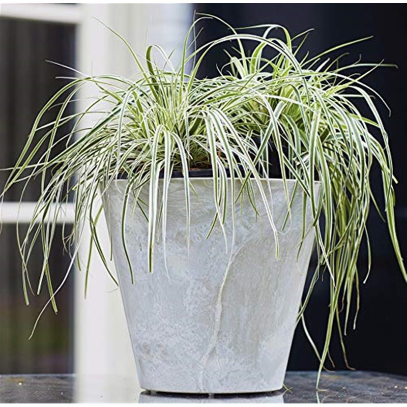 Burkett Self-Watering Stone Pot Planter, 6" H x 6.5" W x 6.5" D, Gray