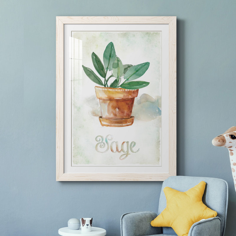 Sauge en pot - peinture, Papier encadré blanc, H 24 po x l 18 po x P 1,5 po