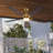 Kaminski 56" Indoor/Outdoor Ceiling Fan with Light and Remote, 6CCT Dimmable LED Light Kit - Champagne Bronze with Reversible Blackened Oak/Dark Cherry-150034612-150034614