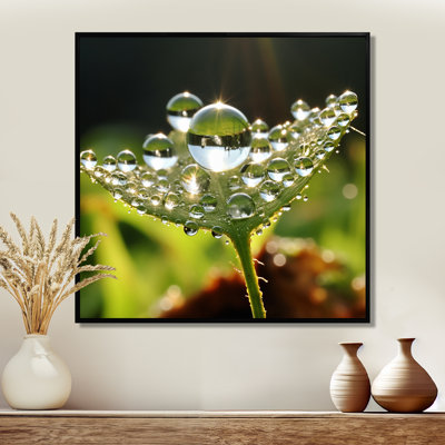Morning Sun Dew Drop Reflection - Leaves Wall Art Print