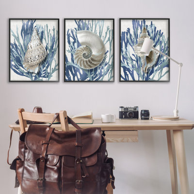 Trio de coquillages et corail, ensemble de 3 giclées encadrées par Caroline Kelly