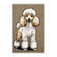  Tapis lavable pour chien caniche-1145691008