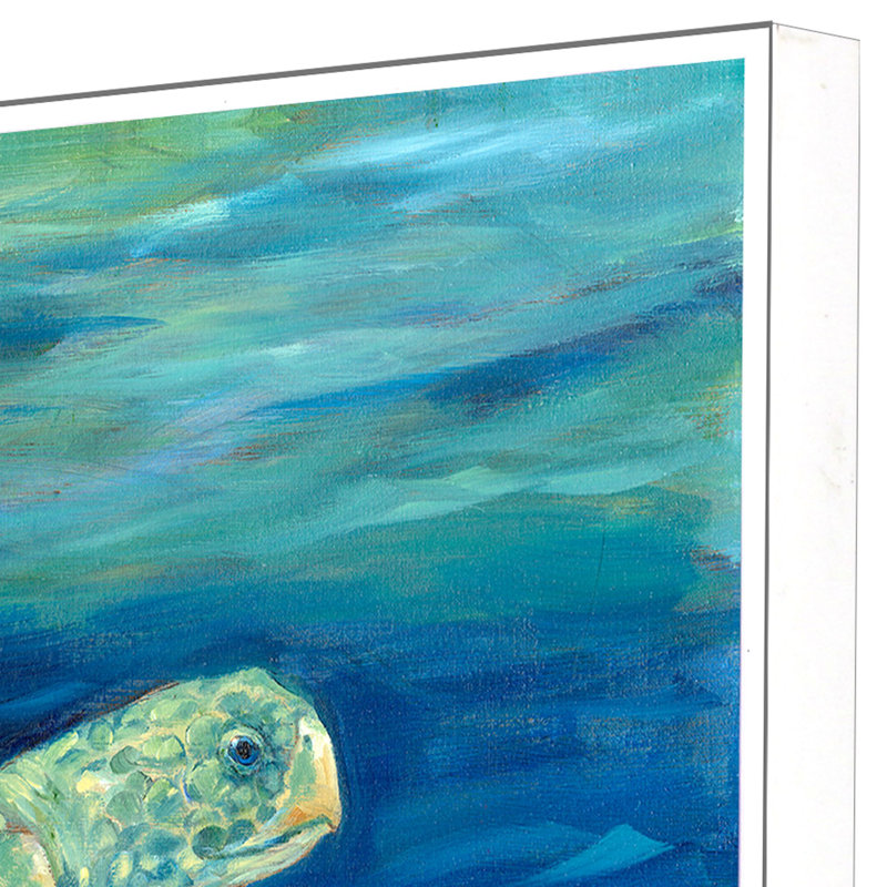Tortue lagon III