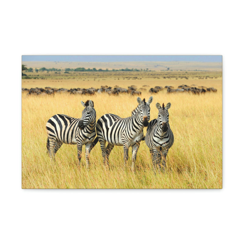 No Frame Print on Canvas, 27.94cm H x 35.56cm W