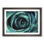 A Teal Rose - Picture Frame Painting Print-56633245-56633248
