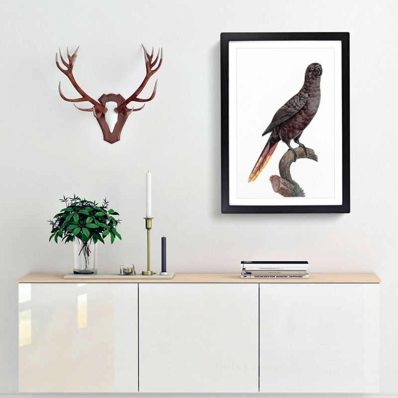 Black Lory by F. Levaillant - Picture Frame Art Print, Black Framed, 36cm H x 27cm W x 2cm D