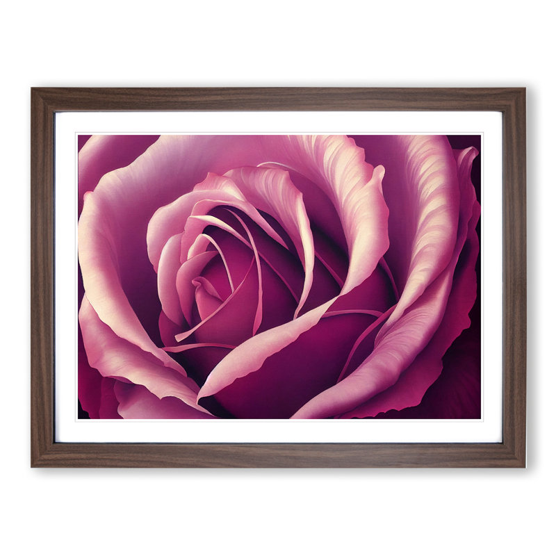 Lovable Rose Flower - Single Picture Frame Print, 46cm H x 64cm W, Brown