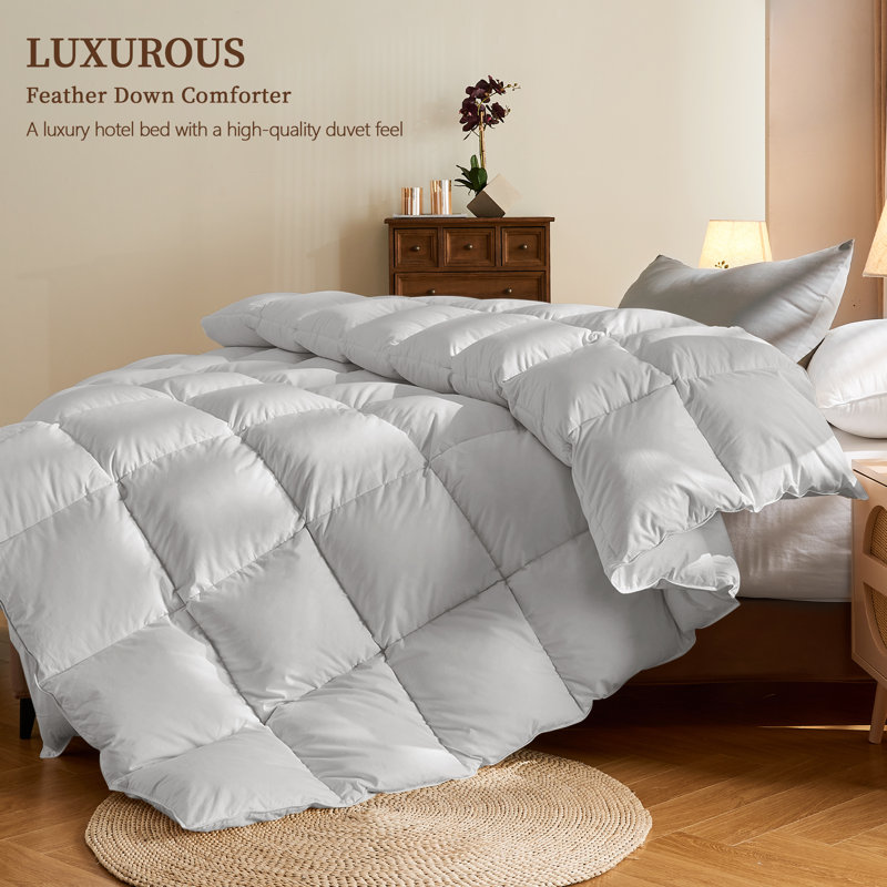 Édredon toutes saisons ultra-moelleux, housse de couette en duvet de plumes de style hôtel avec housse en mélange de coton, chaleur moyenne et hypoallergénique