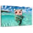 Brampt Swimming Wild Pig